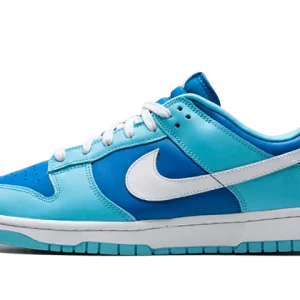 Nike Dunk Low Argon